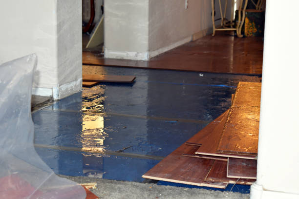 Professional Basement Water Removal technician working in Babson Park, MA